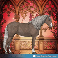 Horse Color:Silver Black