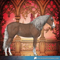 Horse Color:Silver Black