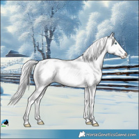 Horse Color:Silver Perlino Roan Dun Splash Tobiano Frame Varnish Rabicano