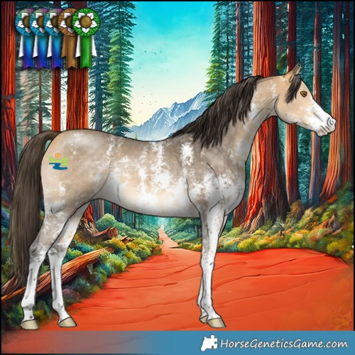 Horse Color:Buckskin Sabino 