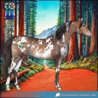 Horse Color:White Spotted Bay