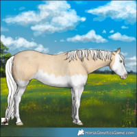 Horse Color:Silver Amber Cream Champagne Roan Splash 