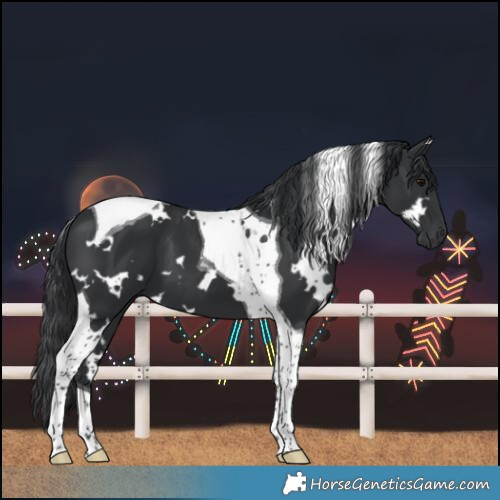 Horse Color:White Spotted Black Tobiano 