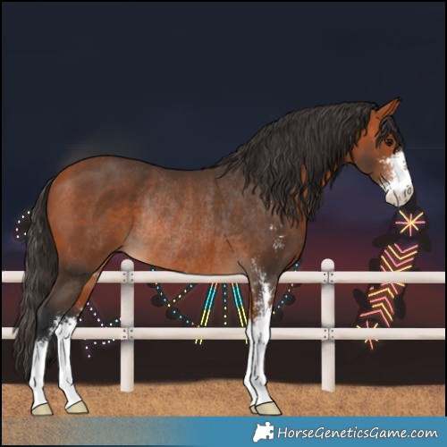 Horse Color:Bay Sabino Rabicano 