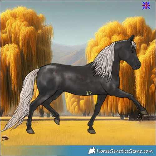 Horse Color:Liver Chestnut Mushroom Rabicano