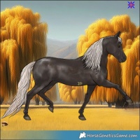 Horse Color:Liver Chestnut Mushroom Rabicano 
