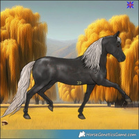 Horse Color:Liver Chestnut Mushroom Rabicano 