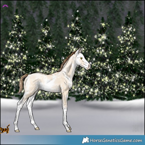 Horse Color:Bay Ice Pearl Dun Sabino Splash Rabicano 