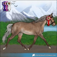 Horse Color:Silver Bay Dun