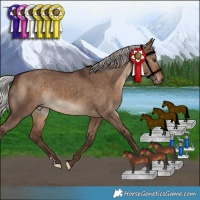 Horse Color:Silver Bay Dun