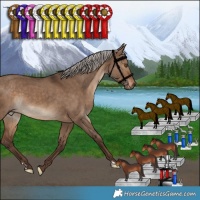 Horse Color:Silver Bay Dun 