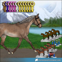 Horse Color:Silver Bay Dun 