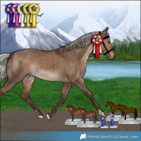 Horse Color:Silver Bay Dun 