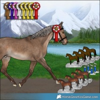 Horse Color:Silver Bay Dun