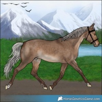 Horse Color:Silver Bay Dun