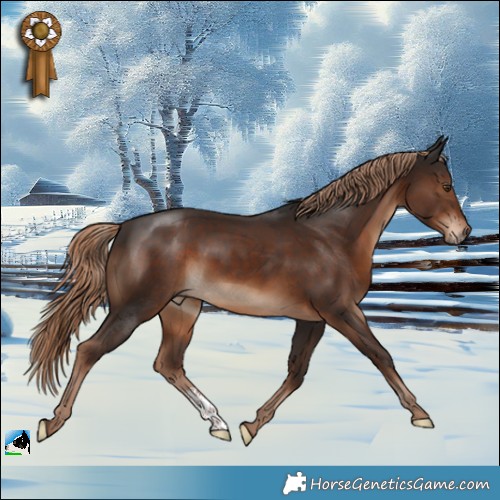 Horse Color:Liver Chestnut Sabino 