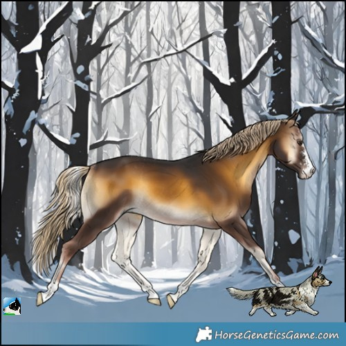 Horse Color:Chocolate Palomino Onyx Sabino Rabicano