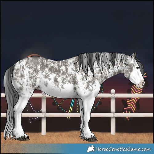 Horse Color:Grullo Sabino Splash  and Grullo Sabino Splash 
