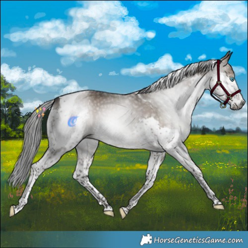 Horse Color:Gray Brown Dun Splash Tobiano 
