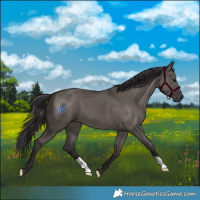 Horse Color:Smoky Grullo 