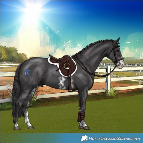 Horse Color:Smoky Black Sabino 
