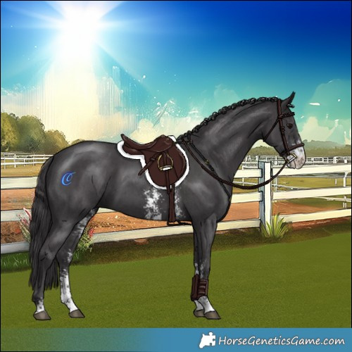 Horse Color:Smoky Black Sabino 