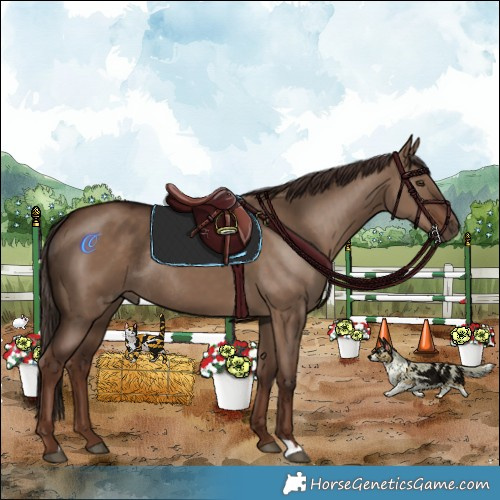 Horse Color:Liver Red Dun Rabicano 