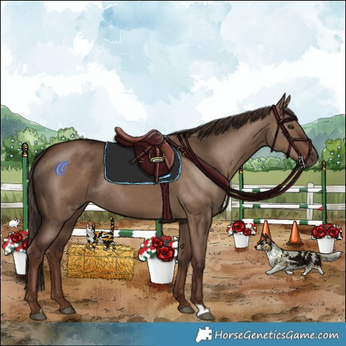 Horse Color:Liver Red Dun Rabicano 