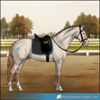 Horse Color:Gold Champagne Dun Rabicano 
