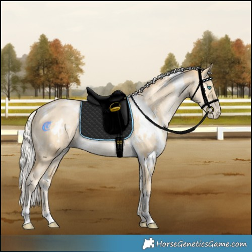 Horse Color:White Spotted Silver Buckskin Pearl Dun Rabicano Brindle