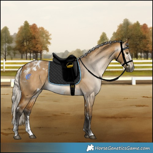 Horse Color:Powder White Gray White Spotted Silver Buckskin Dun Rabicano 