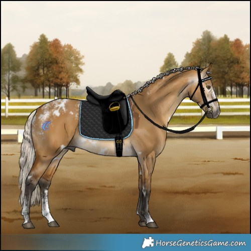 Horse Color:Powder White Gray White Spotted Silver Buckskin Dun Rabicano 