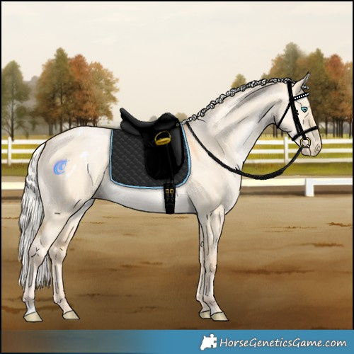 Horse Color:White Spotted Silver Buckskin Pearl Dun Rabicano