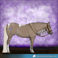 Horse Color:Silver Grullo Tobiano Rabicano