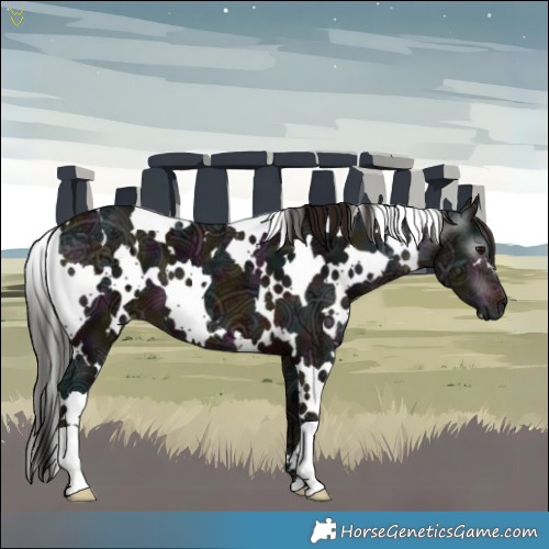 Horse Color:Gray White Spotted Midnight Bay Ice 