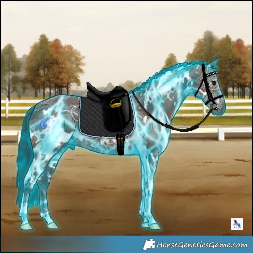 Horse Color:Gray Thunderstruck White Spotted Bay Ice 