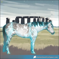Horse Color:Gray Thunderstruck White Spotted Bay Ice