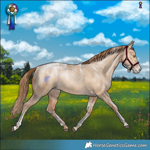 Horse Color:Powder White Bay Pearl Dun Rabicano 