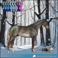 Horse Color:Liver Chestnut Mushroom Rabicano