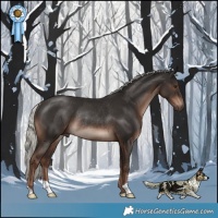Horse Color:Liver Chestnut Mushroom Rabicano