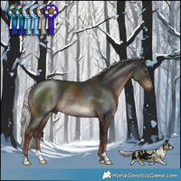 Horse Color:Liver Chestnut Mushroom Rabicano