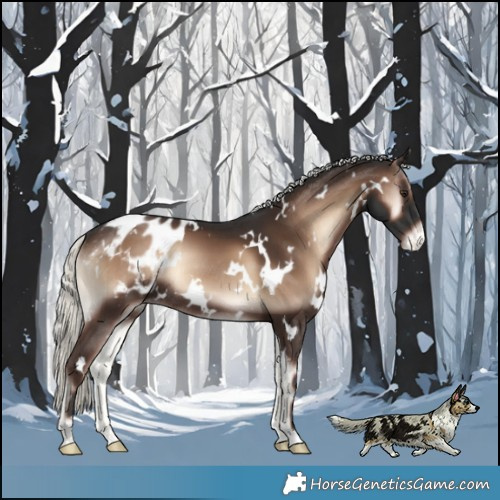 Horse Color:White Spotted Liver Red Onyx Mushroom Blanket Rabicano