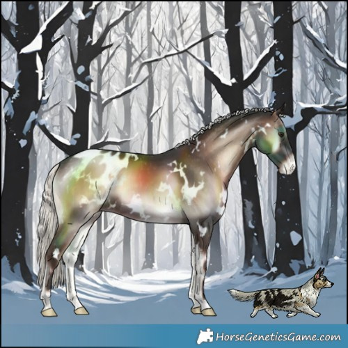 Horse Color:White Spotted Liver Red Onyx Mushroom Blanket Rabicano