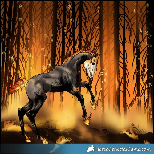 Horse Color:Void White Spotted Silver Black Splash 