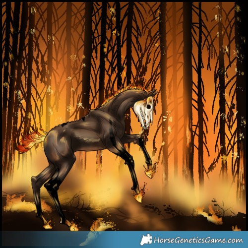 Horse Color:Gray Void White Spotted Sable Champagne Tobiano 