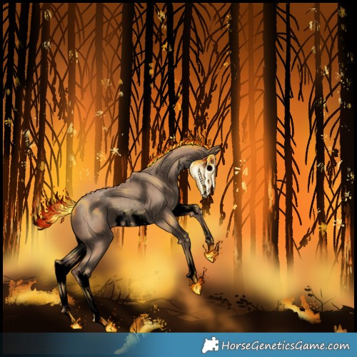 Horse Color:Void White Spotted Classic Champagne 