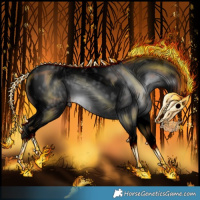 Horse Color:Gray Void Brown Tobiano Near Leopard