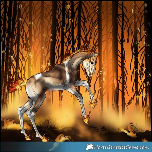 Horse Color:Bay Onyx Tobiano 