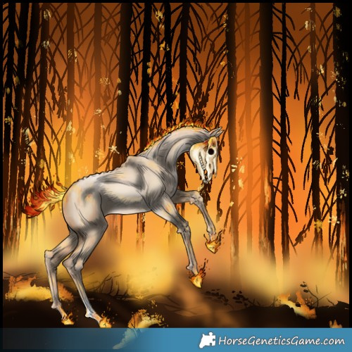 Horse Color:Chocolate Palomino Pearl Dun 