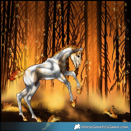 Horse Color:Gray Sable Champagne Onyx Splash Tobiano 